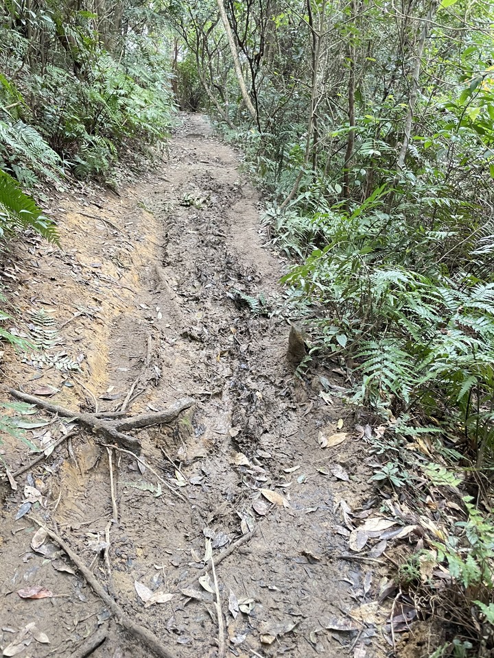 台北哪裡看雲海？二格山