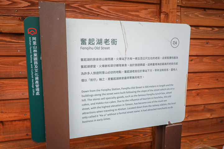 點我看大圖 阿里山櫻之道、奮起湖老街,深山處遇見滿開櫻花的露營區