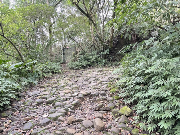 台北哪裡看雲海？二格山
