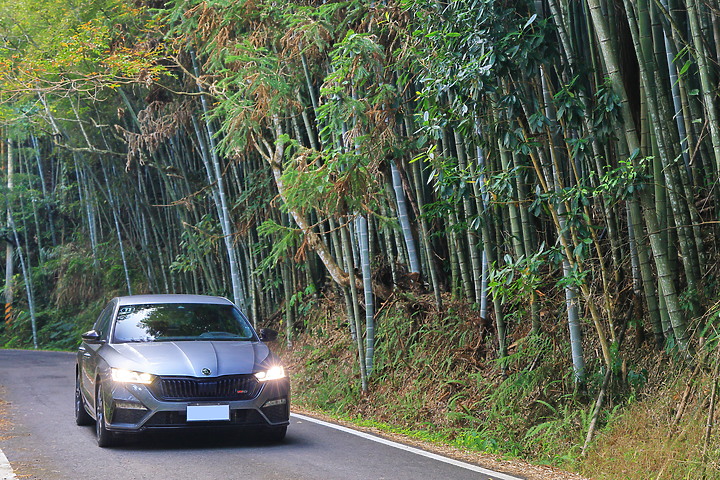 (映像分享) 快意悠遊in嘉義阿里山 feat. Škoda Octavia RS