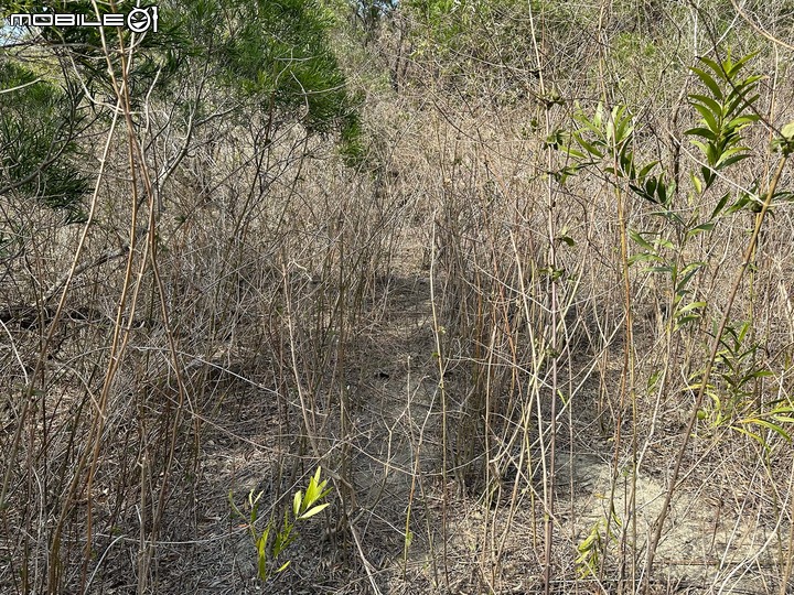 詭異的山中遺失眼鏡事件