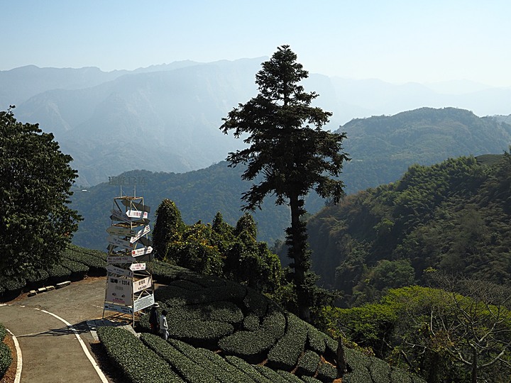 一三一四景觀台，值得一生至少遊一次的無敵美景，附掛路過的瑞太資訊站 — 春遊阿里山西北廊道 第四部