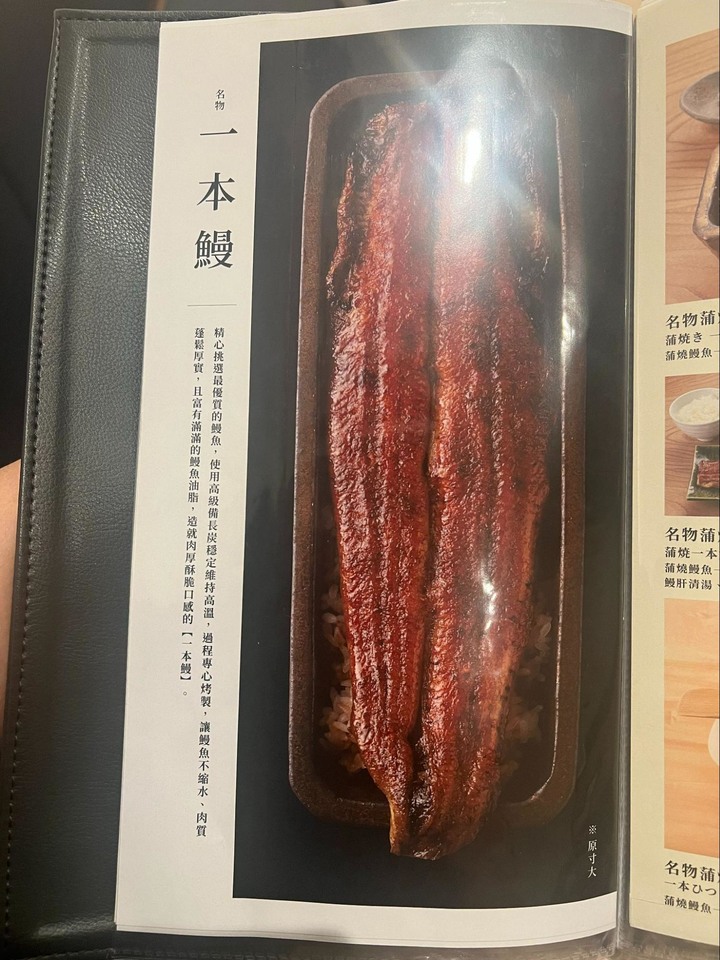 【台北鰻魚飯】直營日本鰻問屋-うなぎ四代目菊かわ┃新開幕鰻魚專門店┃果然日本鰻魚飯最道地