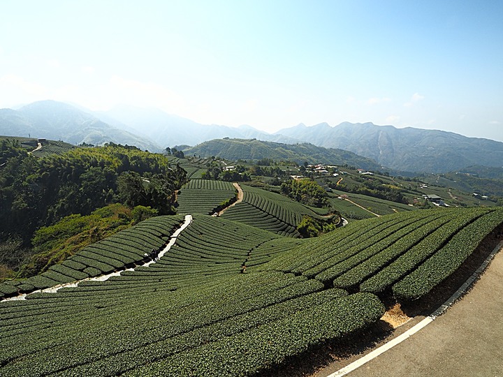 一三一四景觀台，值得一生至少遊一次的無敵美景，附掛路過的瑞太資訊站 — 春遊阿里山西北廊道 第四部