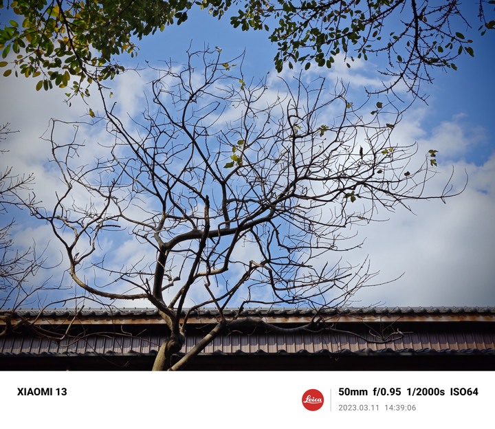 小米13華山徠卡體驗心得(已購入)
