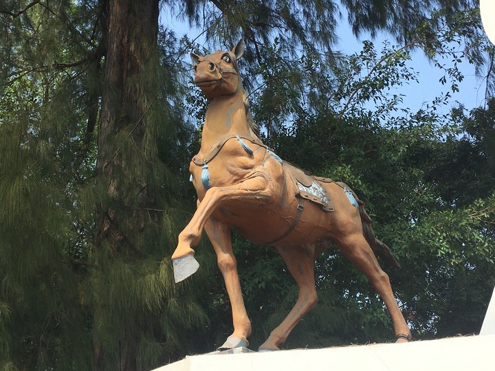 單車漫遊臺中后豐鐵馬道