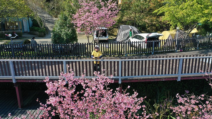 高台山露營區