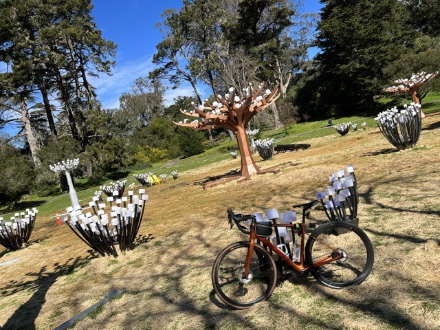 【2023 立春】 🚴🇺🇸 漫騎 舊金山 金門公園 & 金門大橋