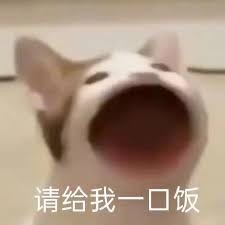 [詢問]貓咪飼料推薦