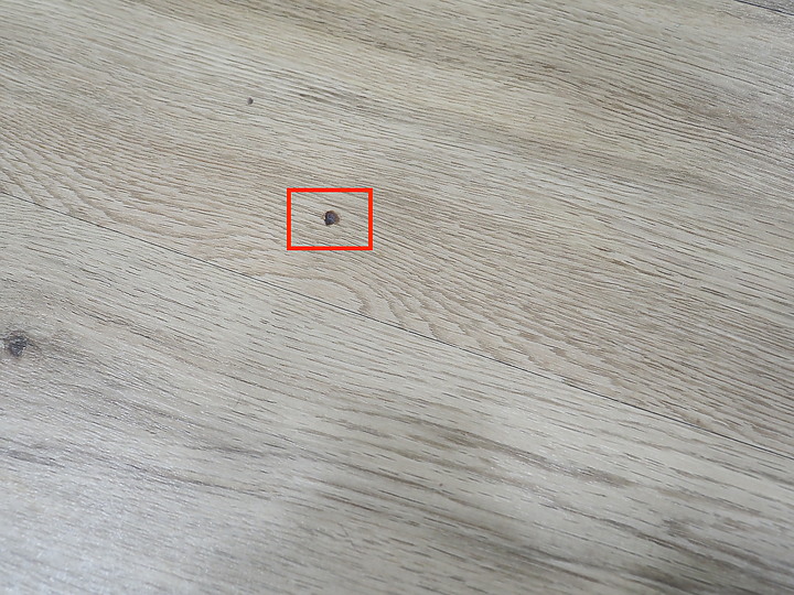 蒸的很乾淨！LG A9TS 蒸氣濕拖無線吸塵器 頑強髒污剋星 毛小孩家長最佳幫手～