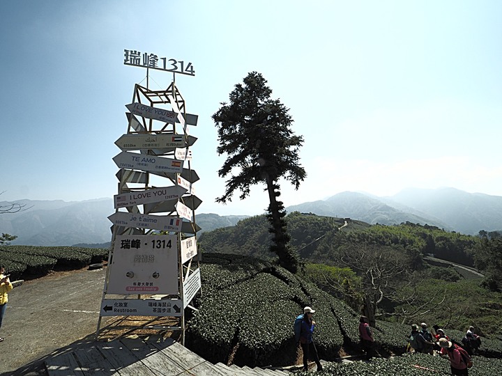 一三一四景觀台，值得一生至少遊一次的無敵美景，附掛路過的瑞太資訊站 — 春遊阿里山西北廊道 第四部