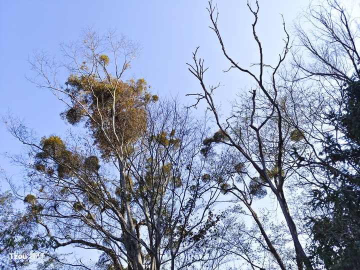 原野燕居環島騎旅 Part1－－紅香瑞岩那瑪夏 Youtube 涵管莊園