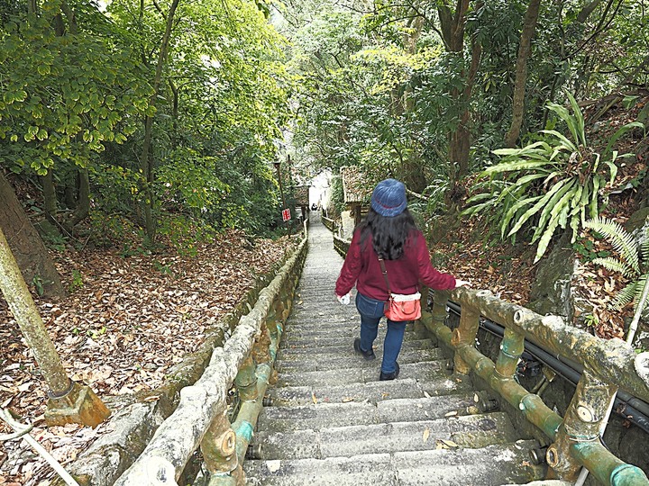 春遊關仔嶺 【嶺頂公園、好漢坡、天梯、木材故事館】、夜宿景大山莊、外掛崁頂福安宮與西口小瑞士
