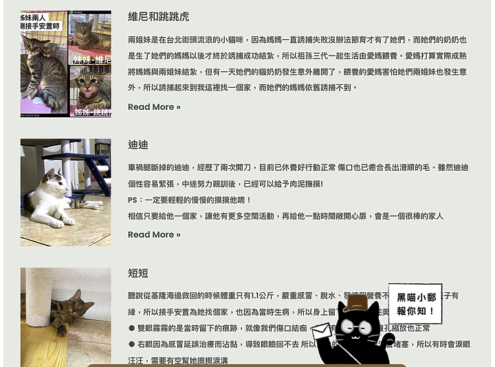 草恩貓砂一週3貓實驗結果分享：無塵礦砂，除臭力強，終結沙塵風暴，從不埋砂的母貓竟然動手了