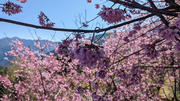 高台山露營區