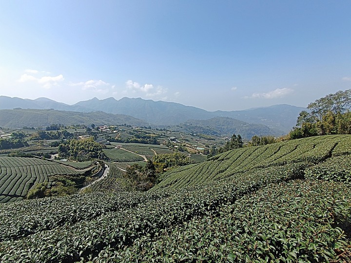 一三一四景觀台，值得一生至少遊一次的無敵美景，附掛路過的瑞太資訊站 — 春遊阿里山西北廊道 第四部