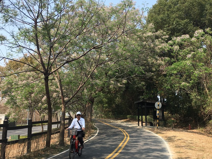 單車漫遊臺中后豐鐵馬道