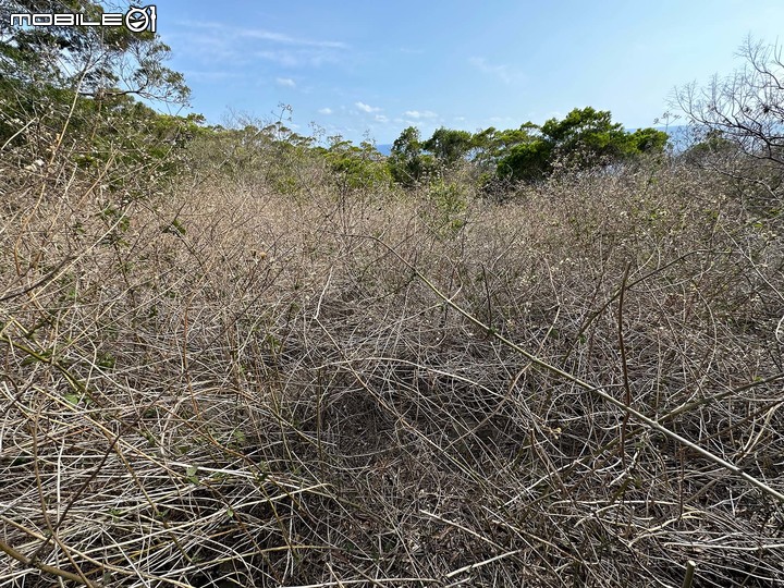 詭異的山中遺失眼鏡事件