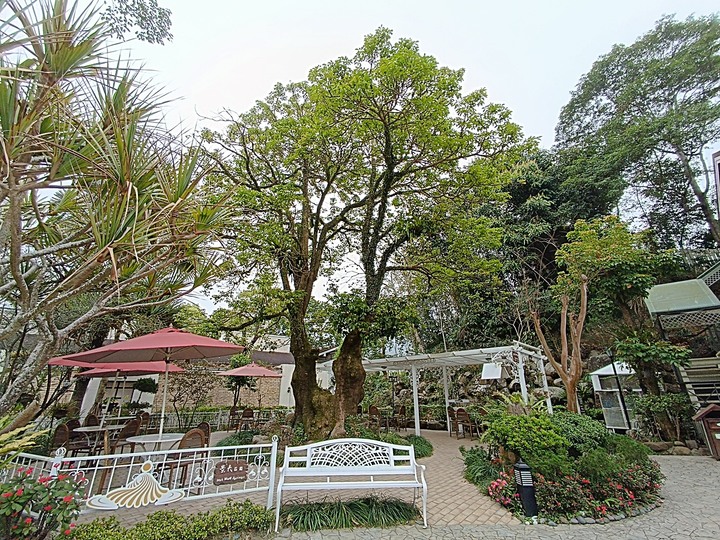 春遊關仔嶺 【嶺頂公園、好漢坡、天梯、木材故事館】、夜宿景大山莊、外掛崁頂福安宮與西口小瑞士