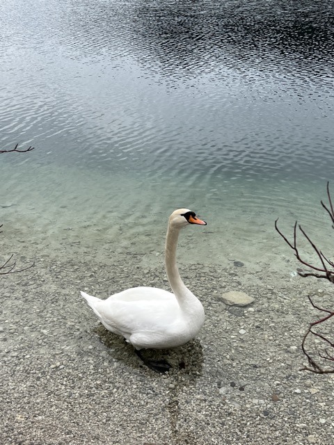 🛫🛬 (2023 Spring) 慕尼黑 三日漫遊