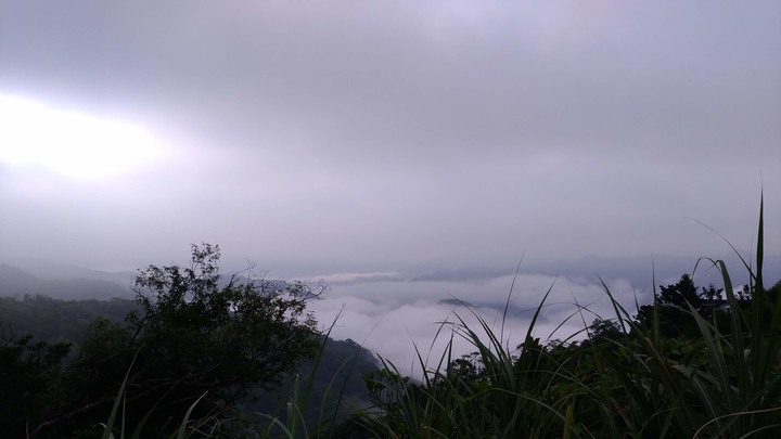 練習曲 | 100趟北宜海倫咖啡 | 各種不同的風貌