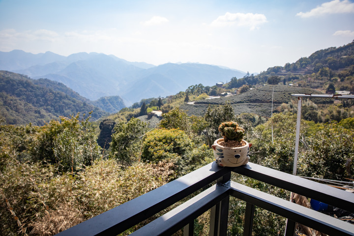 草嶺半日遊 石壁蘇家農場 / 雲嶺之丘 / 五元二角 / 萬年峽谷