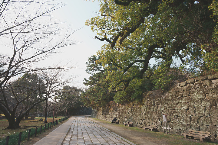 【遊記】熊野三山秘境巡禮｜紀伊半島之旅