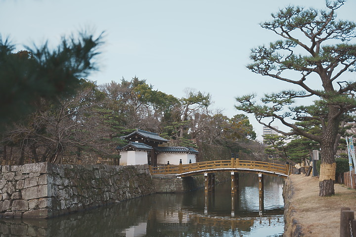 【遊記】熊野三山秘境巡禮｜紀伊半島之旅