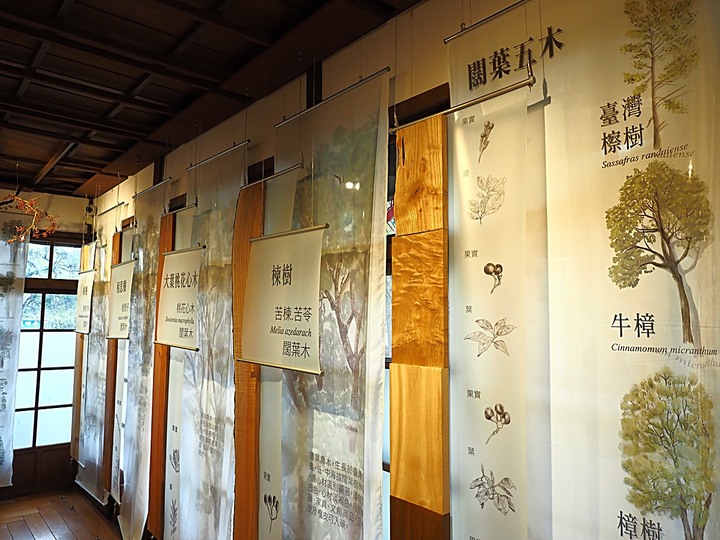 春遊關仔嶺 【嶺頂公園、好漢坡、天梯、木材故事館】、夜宿景大山莊、外掛崁頂福安宮與西口小瑞士