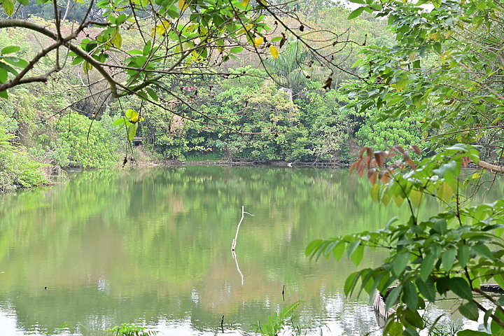 Nikon在2022年8個月內推出四大天王長焦砲鏡，卻是Z9後已超過14個月未見中高階相機發表。