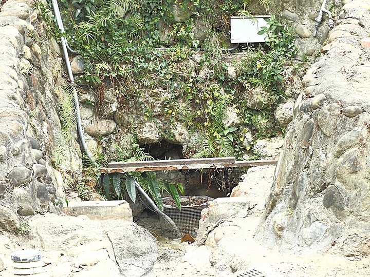 春遊關仔嶺 【嶺頂公園、好漢坡、天梯、木材故事館】、夜宿景大山莊、外掛崁頂福安宮與西口小瑞士