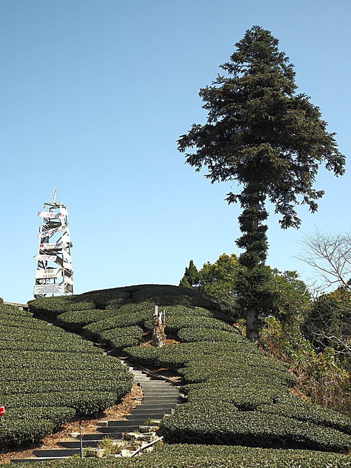 一三一四景觀台，值得一生至少遊一次的無敵美景，附掛路過的瑞太資訊站 — 春遊阿里山西北廊道 第四部