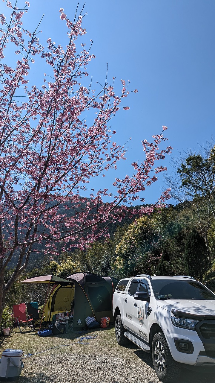 高台山露營區