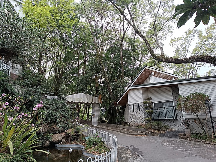 春遊關仔嶺 【嶺頂公園、好漢坡、天梯、木材故事館】、夜宿景大山莊、外掛崁頂福安宮與西口小瑞士