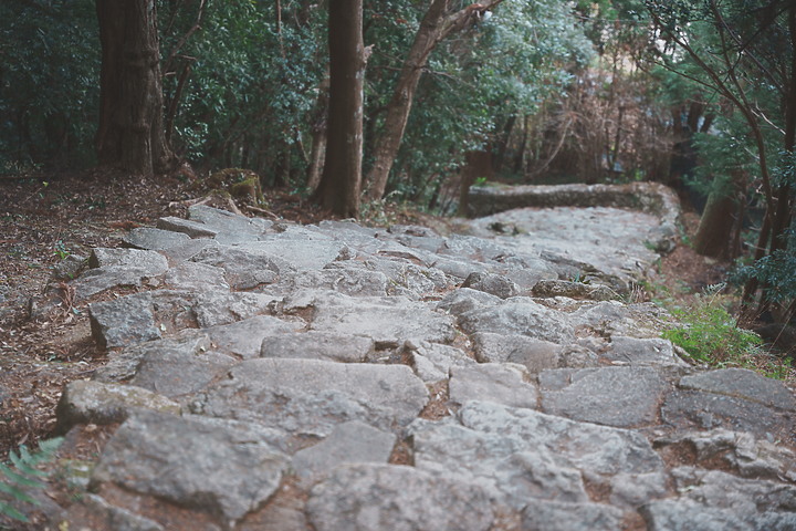 【遊記】熊野三山秘境巡禮｜紀伊半島之旅