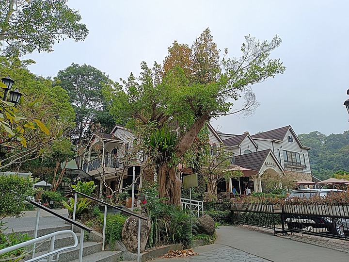 春遊關仔嶺 【嶺頂公園、好漢坡、天梯、木材故事館】、夜宿景大山莊、外掛崁頂福安宮與西口小瑞士