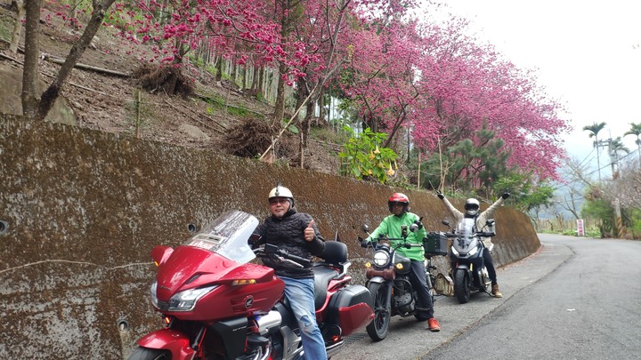 騎士耐森 重機環島-新中橫/阿里山+ Joymax心得分享 CTX1300. CB350. X-ADV 750