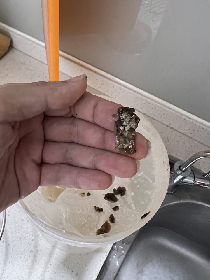 櫻花廚房設計的存水彎