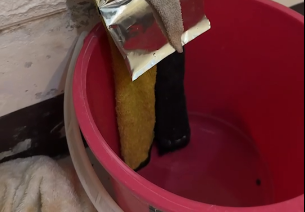 水管漏水 免儀器抓漏方法大公開~絕對讓你看一次就學會住家漏水抓漏