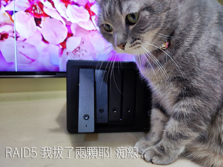 點我看大圖 貓評 Synology DS923+ NAS
