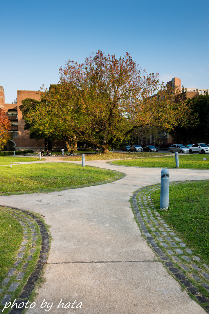 sigma 28mm F1.4 Art 竟然沒蓋樓