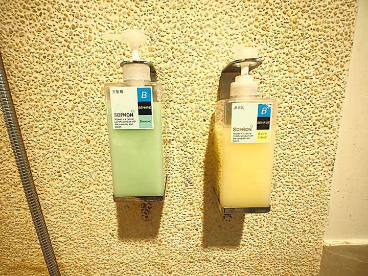 春遊關仔嶺 【嶺頂公園、好漢坡、天梯、木材故事館】、夜宿景大山莊、外掛崁頂福安宮與西口小瑞士