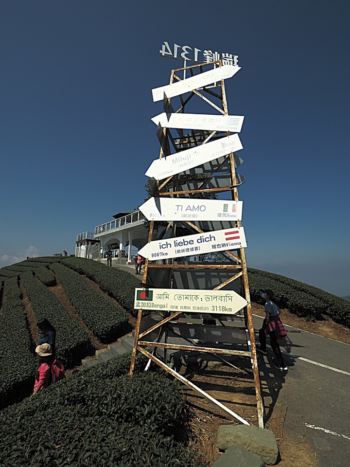 一三一四景觀台，值得一生至少遊一次的無敵美景，附掛路過的瑞太資訊站 — 春遊阿里山西北廊道 第四部