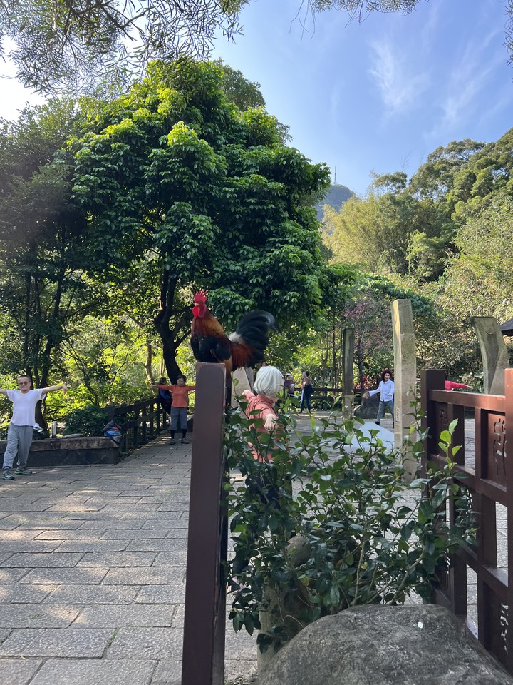 四獸山大縱走 , 虎豹獅象LOGO圓柱O形大滿貫 !