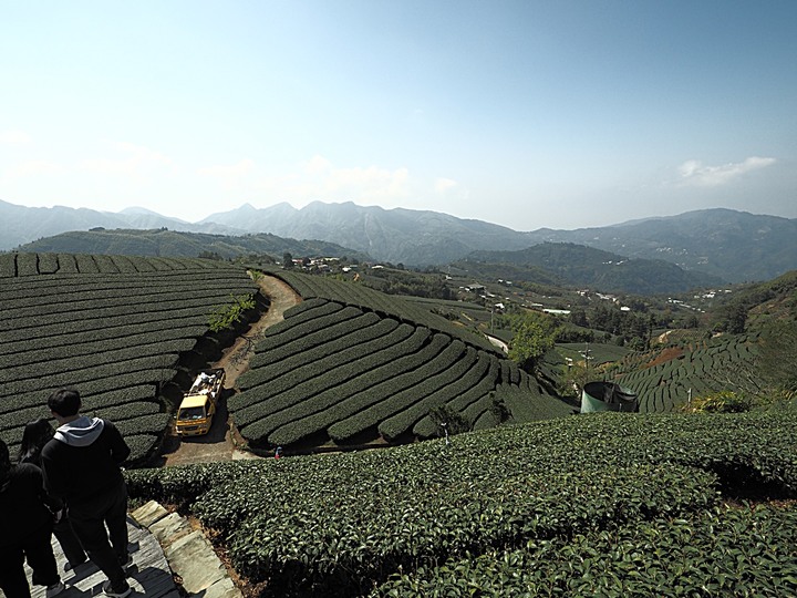 一三一四景觀台，值得一生至少遊一次的無敵美景，附掛路過的瑞太資訊站 — 春遊阿里山西北廊道 第四部