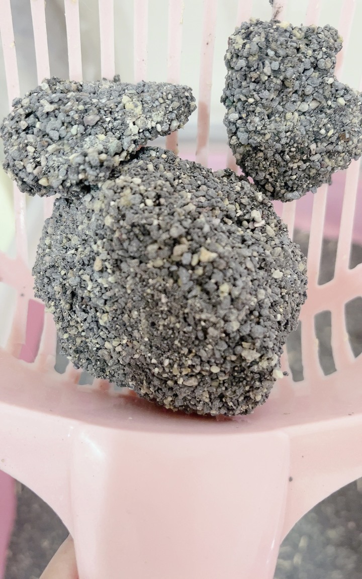 草恩貓砂一週3貓實驗結果分享：無塵礦砂，除臭力強，終結沙塵風暴，從不埋砂的母貓竟然動手了