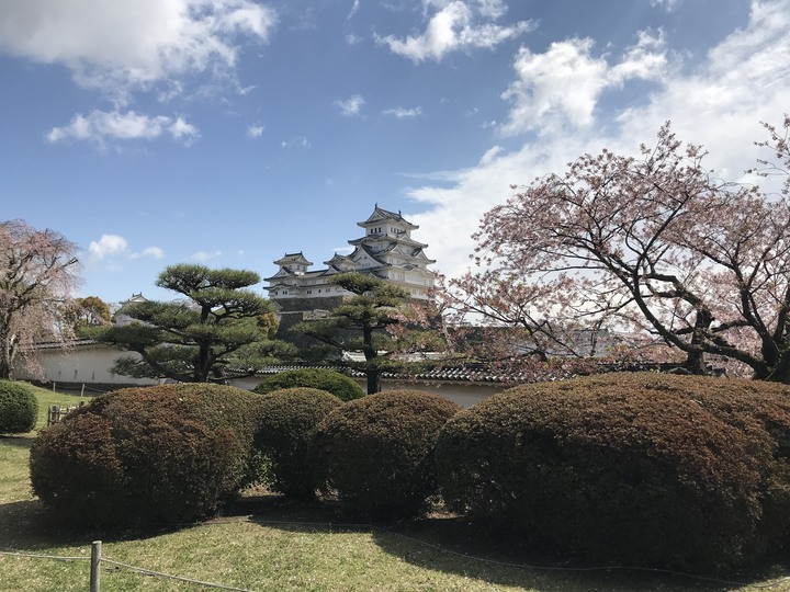 日本/香川和關西廣域/1人自由行/8天7夜(Day3)