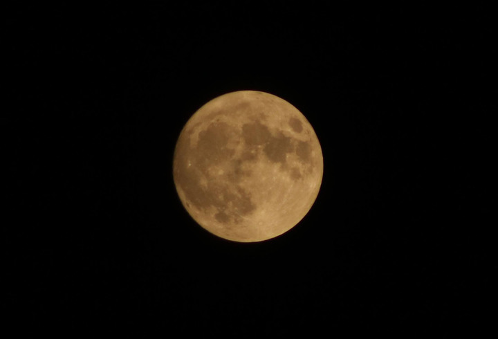 420-800mm鏡頭遠攝變焦鏡開箱