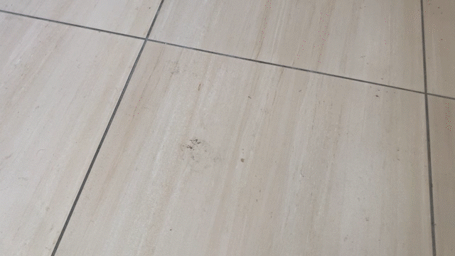 【體驗】LG A9 TS濕拖無線吸塵器好用嗎？值得買嗎?