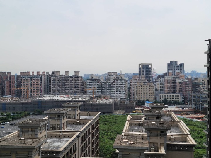 蔡司SFL 40雙筒望遠鏡帶我探索全新的視界!